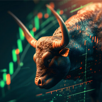 Bull102